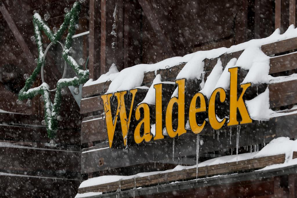 Gaestehaus Waldeck تيتيسي نيوستادت المظهر الخارجي الصورة